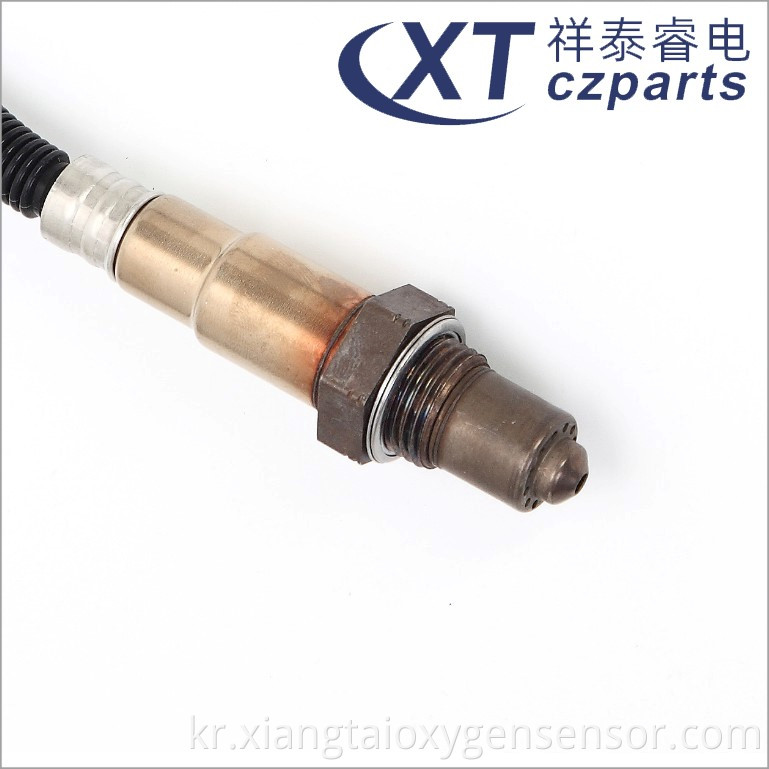 Lavida Oxygen Sensor